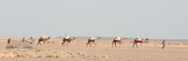 Djibouti - ouverture