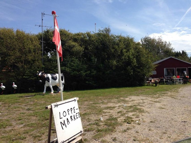 Foto-17-loppe-market