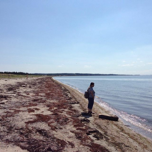 Foto-3-mare-on-The-road