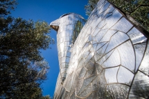 20140708_untitled_15692014