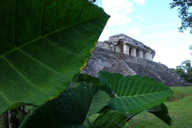 Palenque